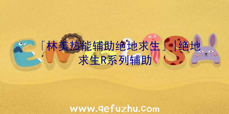 「林美热能辅助绝地求生」|绝地求生R系列辅助